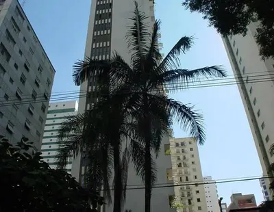 Destacado de Michelle