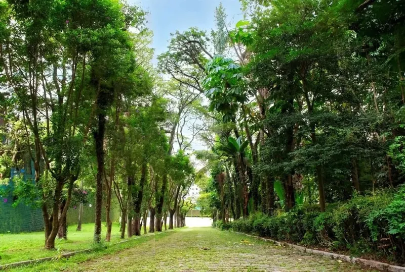 Áreas comunes de Reserva Botanika